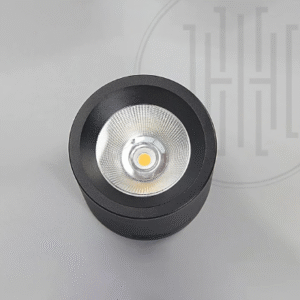 Magnetic downlight modules