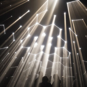 dynamic architectural modules