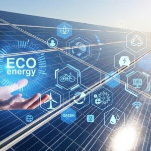 Energy Optimization Consultation