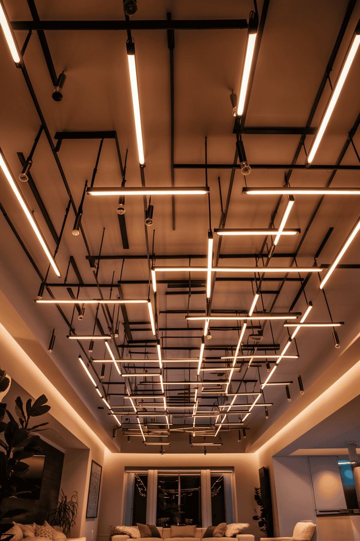 Premium Lighting Products