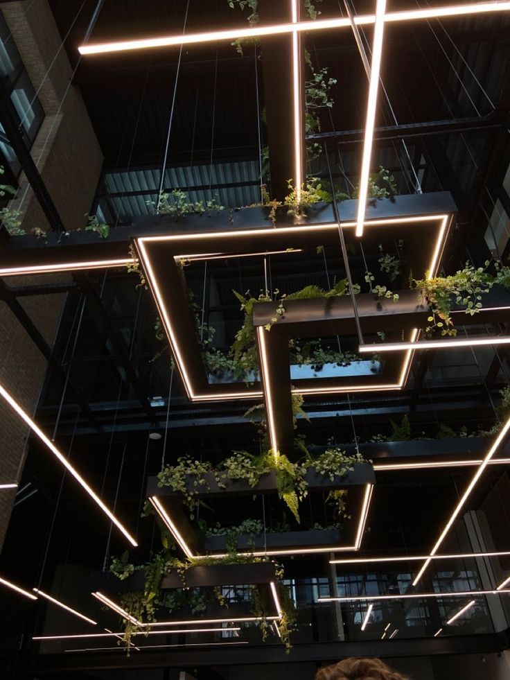 Casa De Mirdad Commercial Lighting