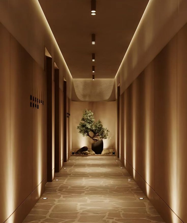 Contemporary Lighting Designs